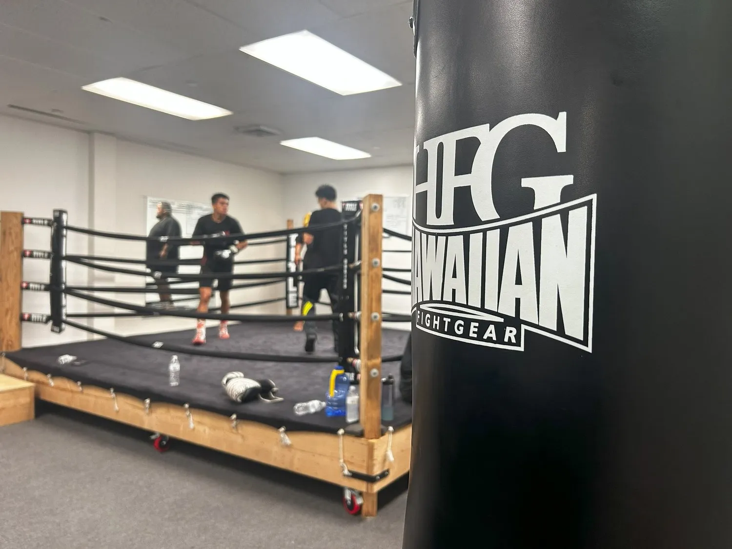 Iron Kingz boxing ring and heavy bag in a dark charcoal gym, fighters training in the background