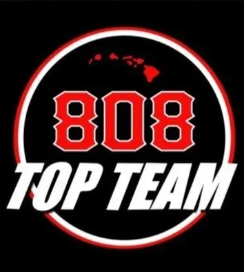 Brazilian Jiu-Jitsu logo